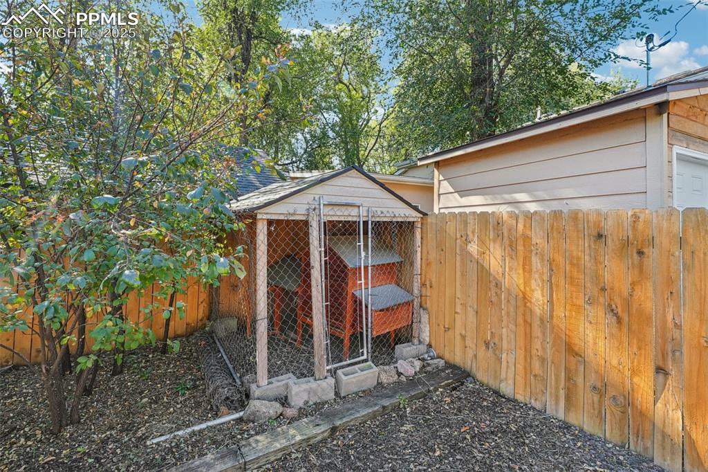 Chicken coop in backyard 