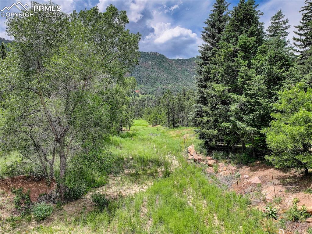 Peaceful stream & hiking trails
