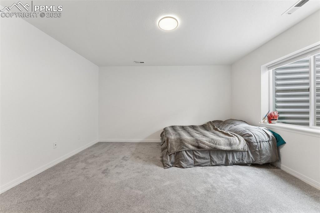 Basement Bedroom #5; with Oversized Walk-in Closet