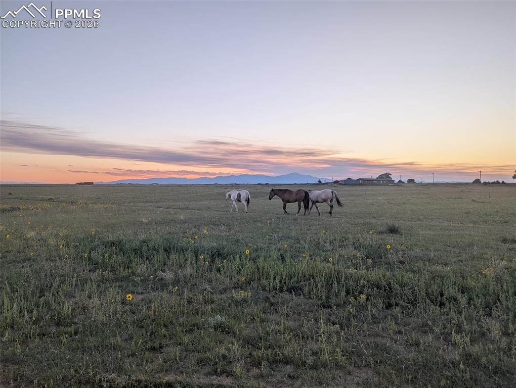 21825 Drennan Road photo 2