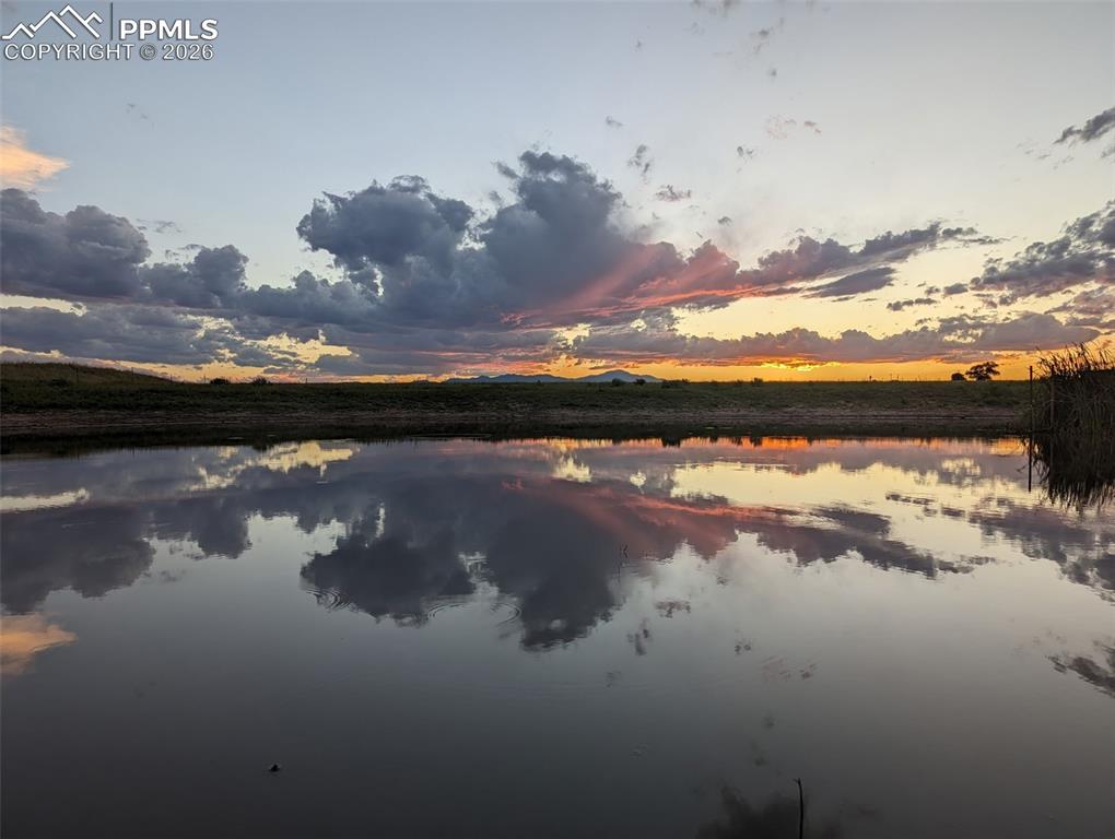 21825 Drennan Road photo 3