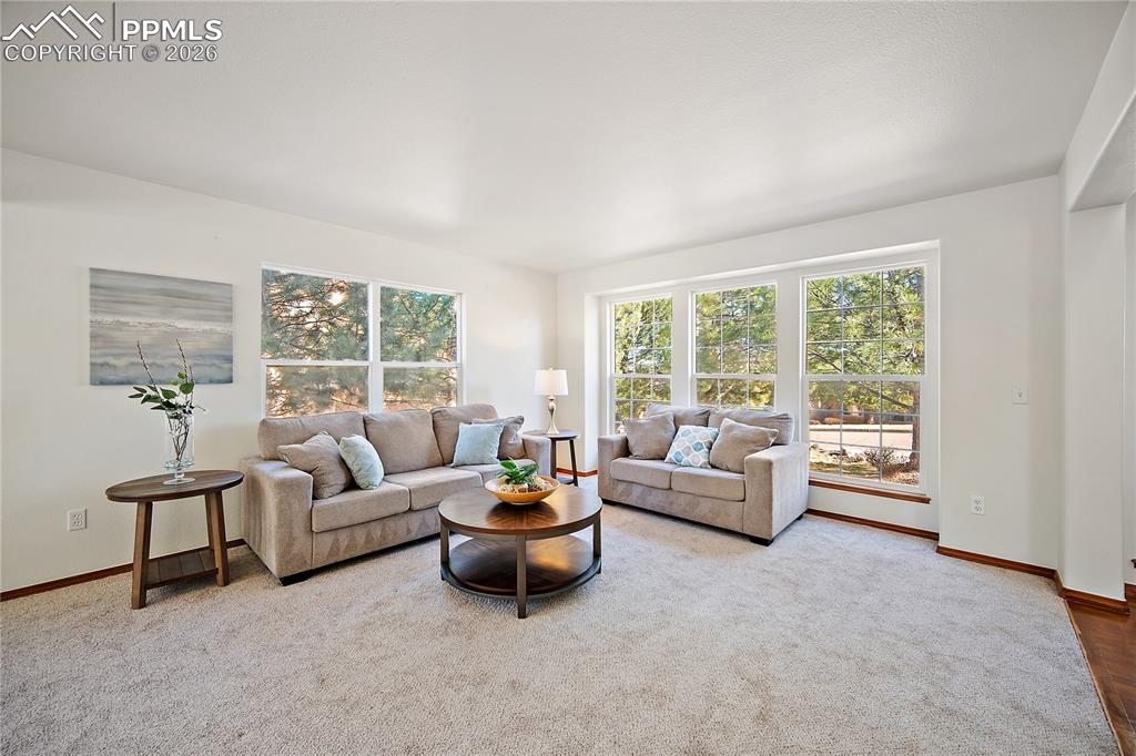 New carpet and fresh paint throughout