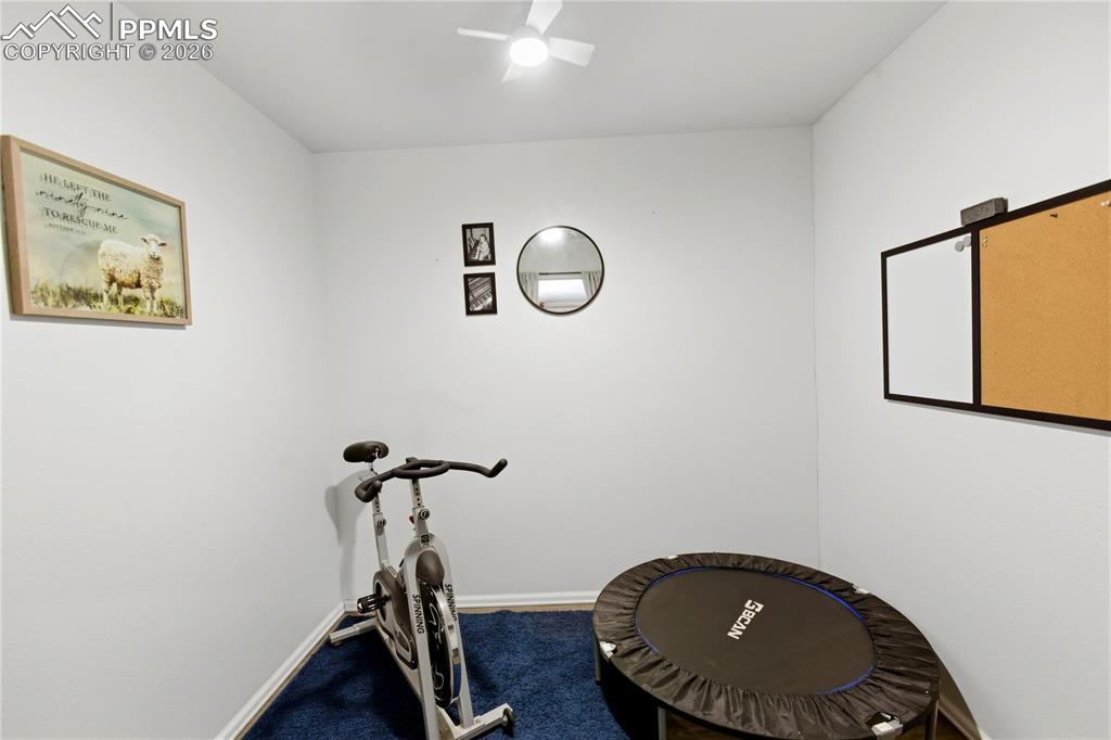 Main Level Workout Room