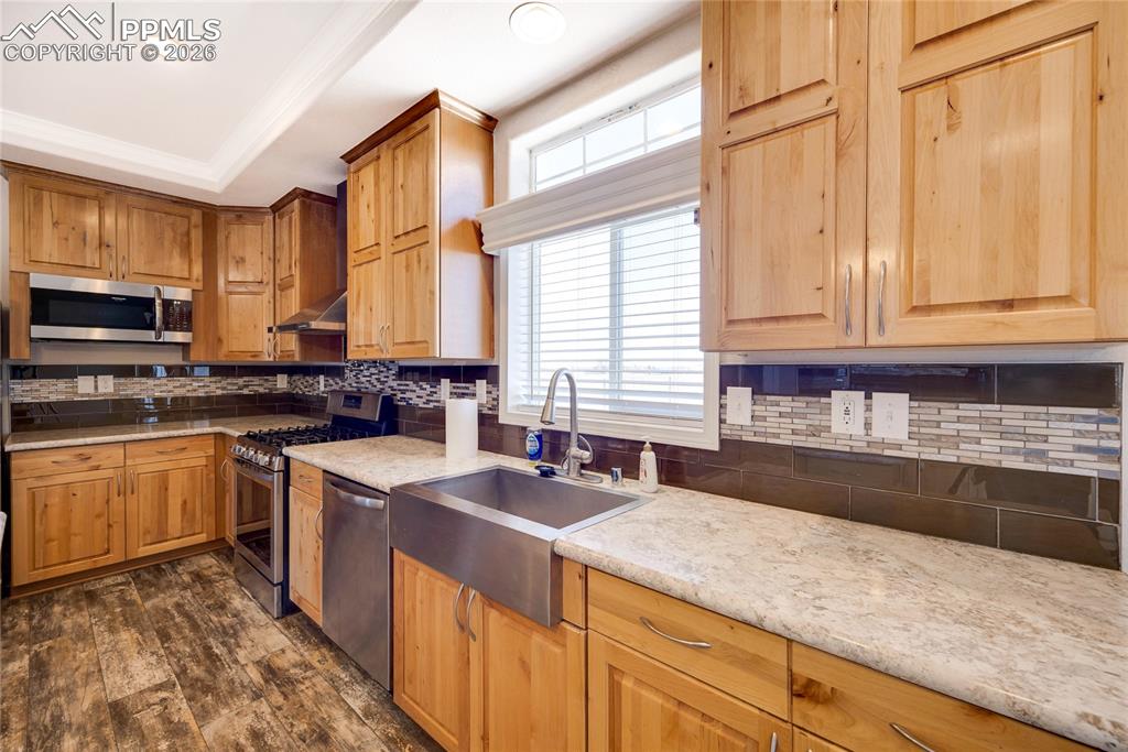 Kitchen with stainless steel appliances, dark wood-style floors, backsplash, a raised ceiling, and under cabinet range hood