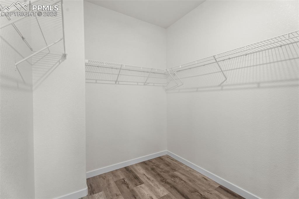 Walk in closet with light wood-style floors
