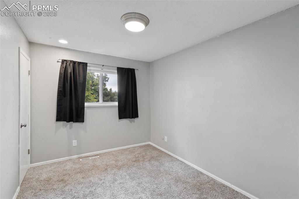 Bedroom with carpet flooring, a walk-in closet, and a textured ceiling