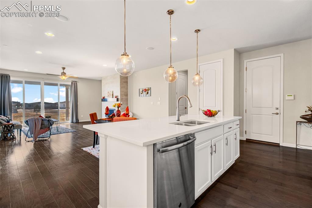 Built-in dishwasher and built-in surround sound