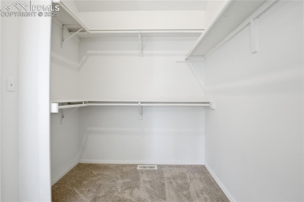 Spacious closet featuring light carpet