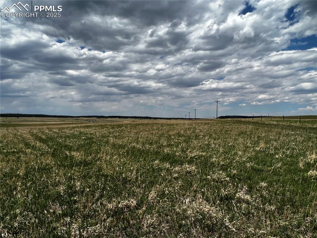 11970 Woodridge Terrace