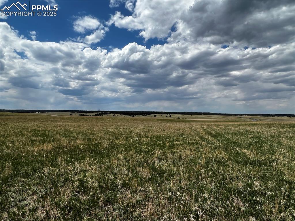 11970 Woodridge Terrace