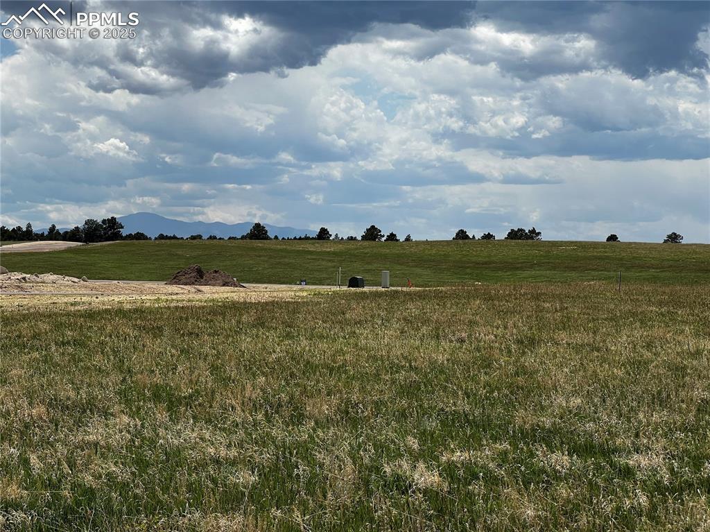 11970 Woodridge Terrace