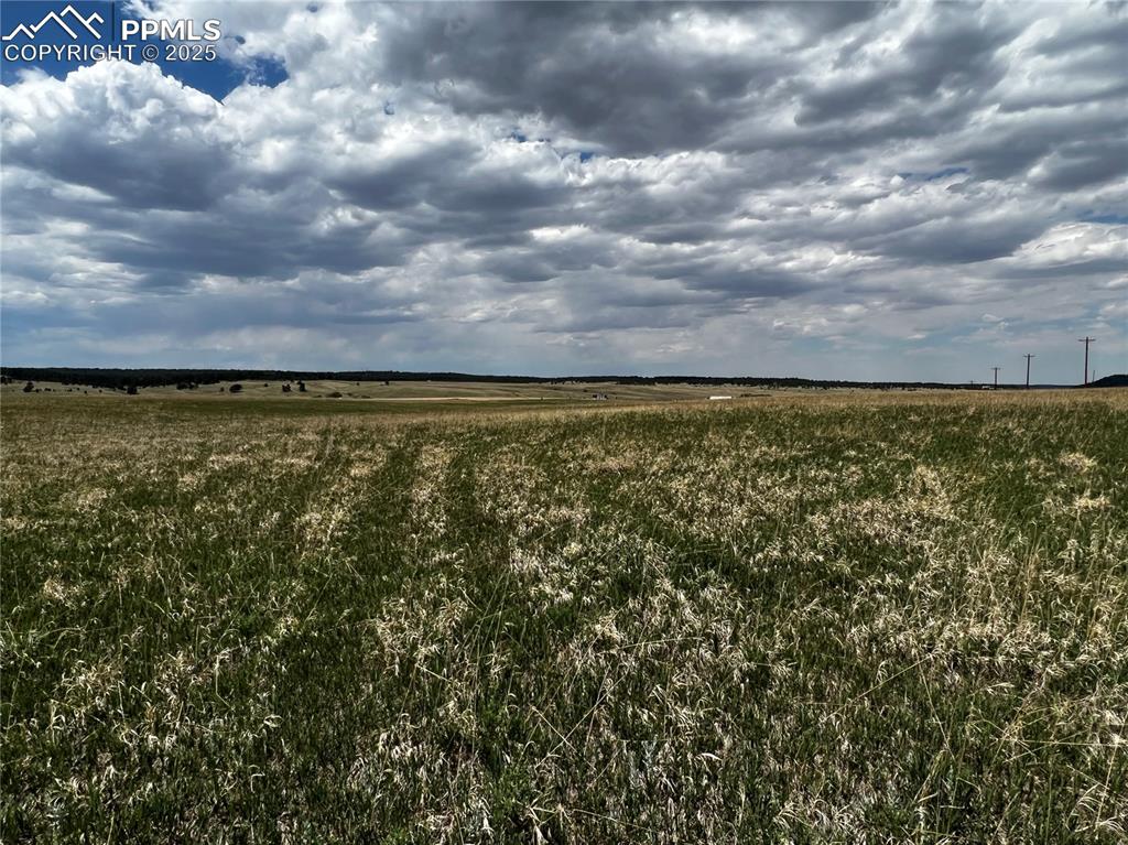 11970 Woodridge Terrace