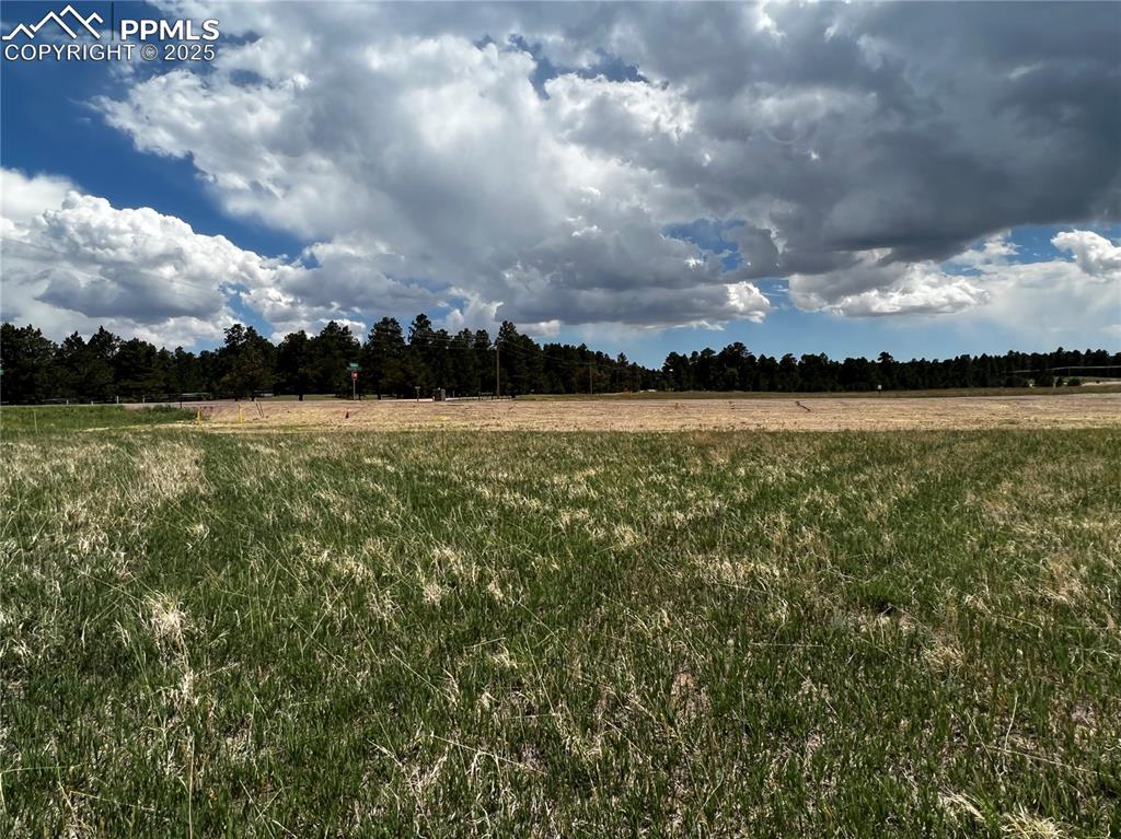 11970 Woodridge Terrace