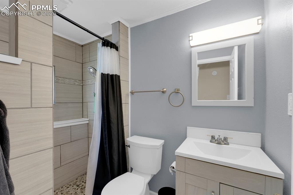 Lower Level Bathroom