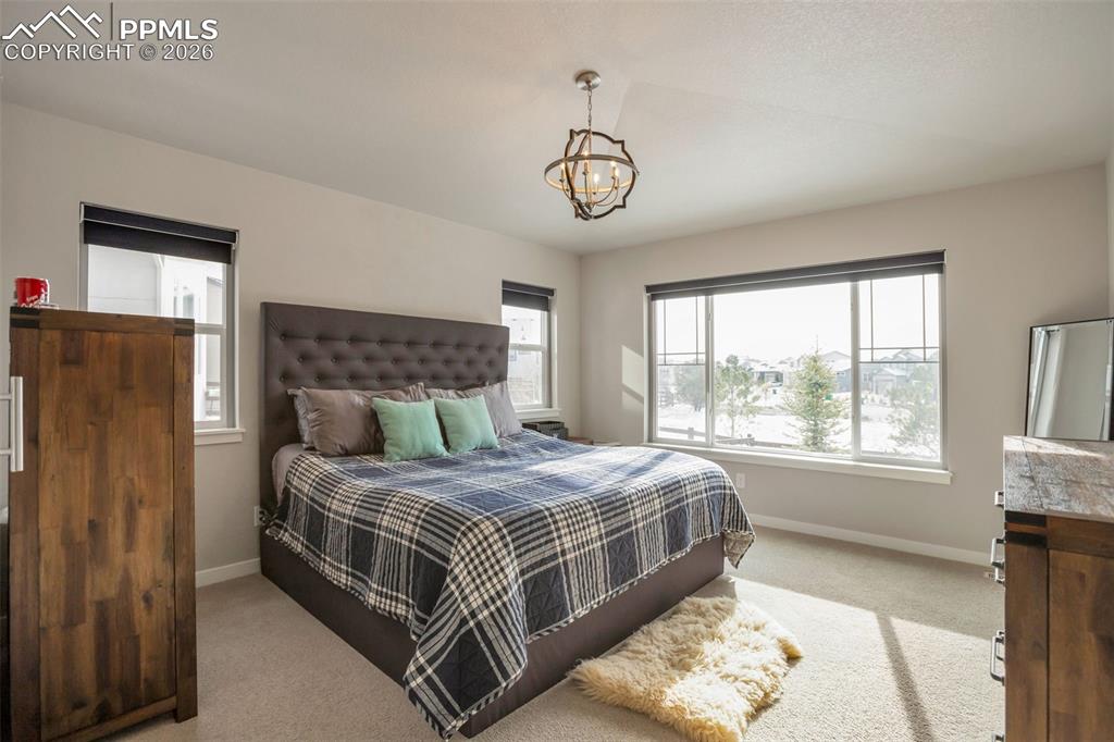 Primary Bedroom #1 Main Level with light colored carpet, multiple windows, and suspended lighting. Overlooks back yard and green space. Sits over top of bedroom #5.