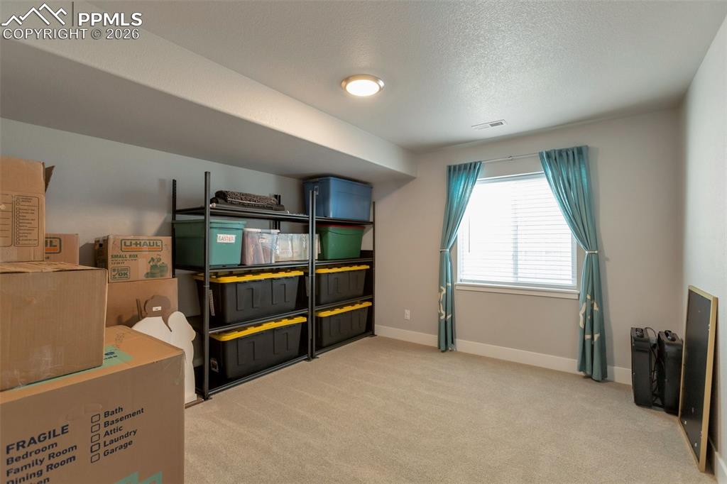 Basement Bedroom #4, closet on the right