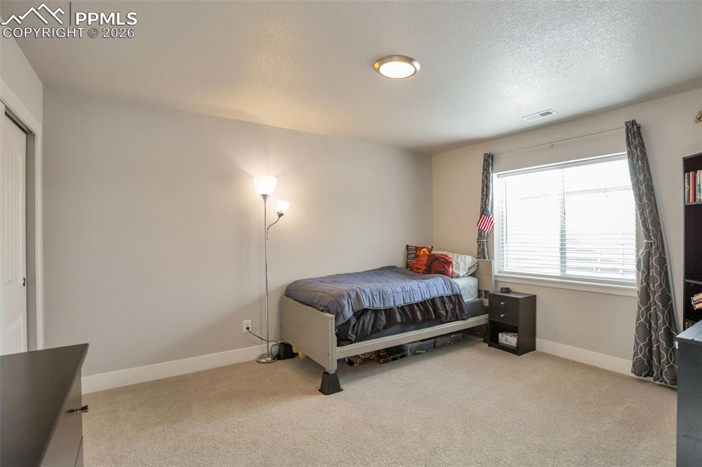 Basement Bedroom #5, located below Primary Bedroom #1