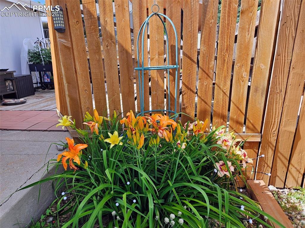 Beautiful perennials that bloom every year