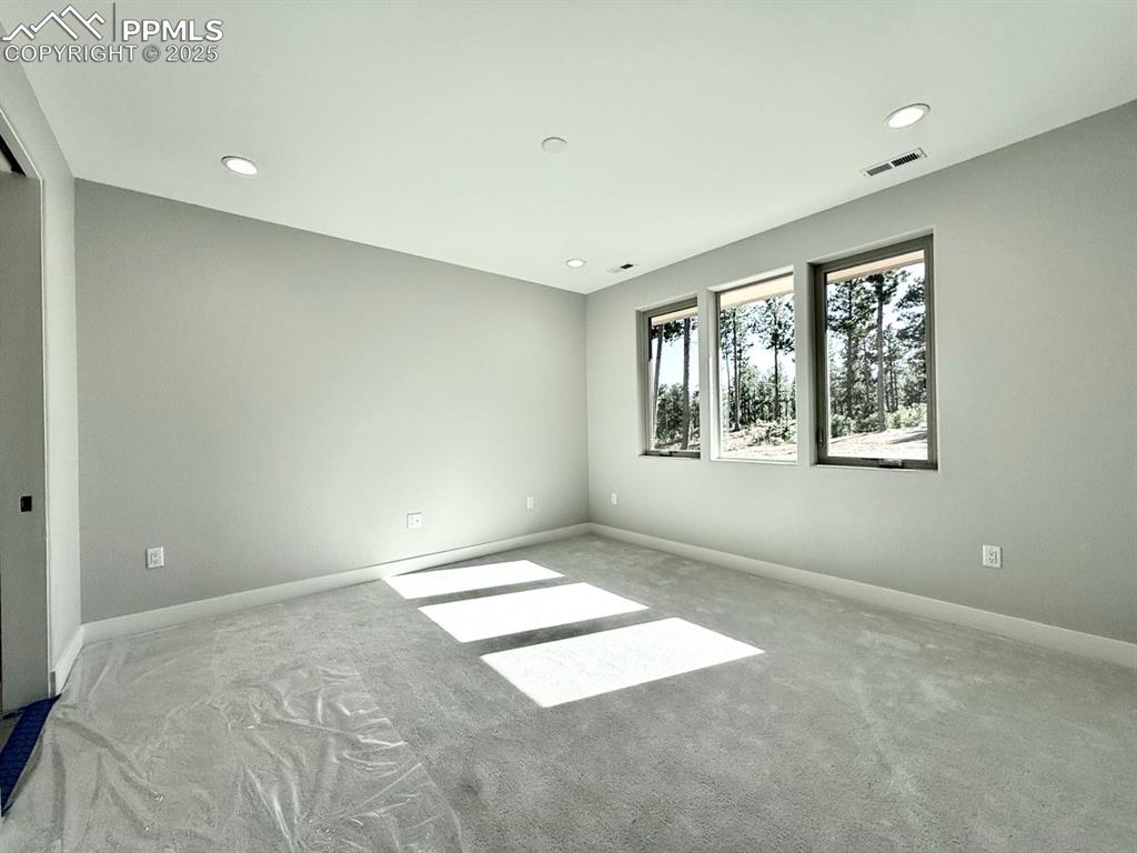Main Level Primary Suite with Large Windows looking into the Forest and Carpeting.