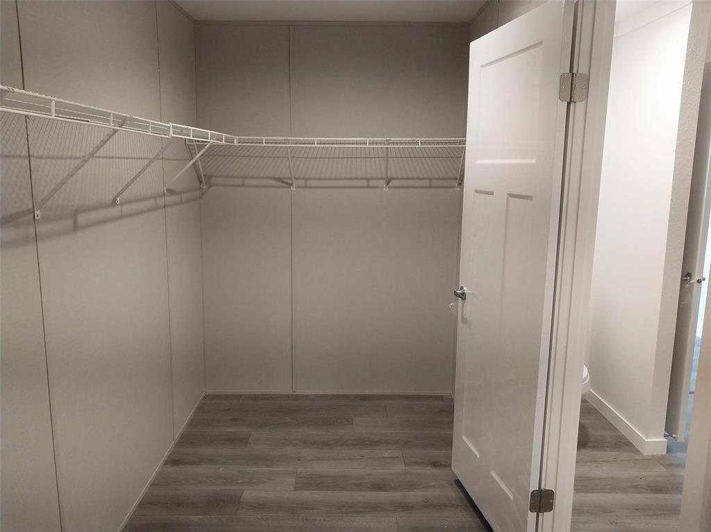 Spacious closet featuring light wood-type flooring