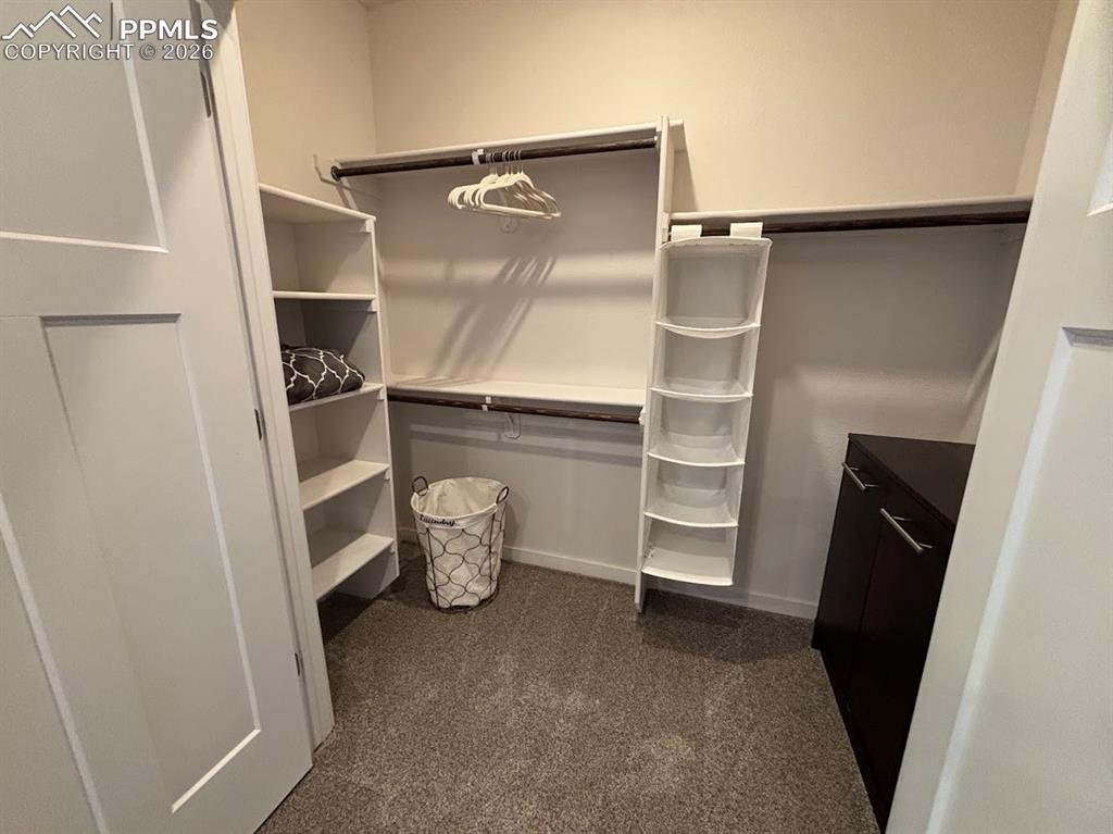 Walk in closet with dark colored carpet