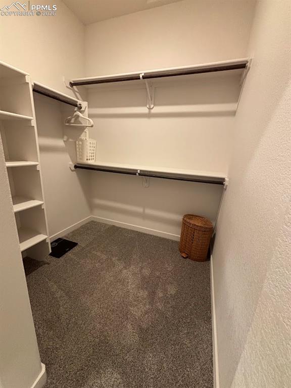 Walk in closet featuring dark colored carpet