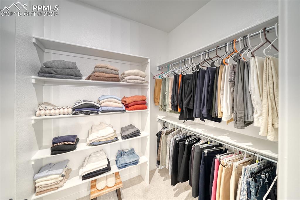 Walk in closet featuring light carpet