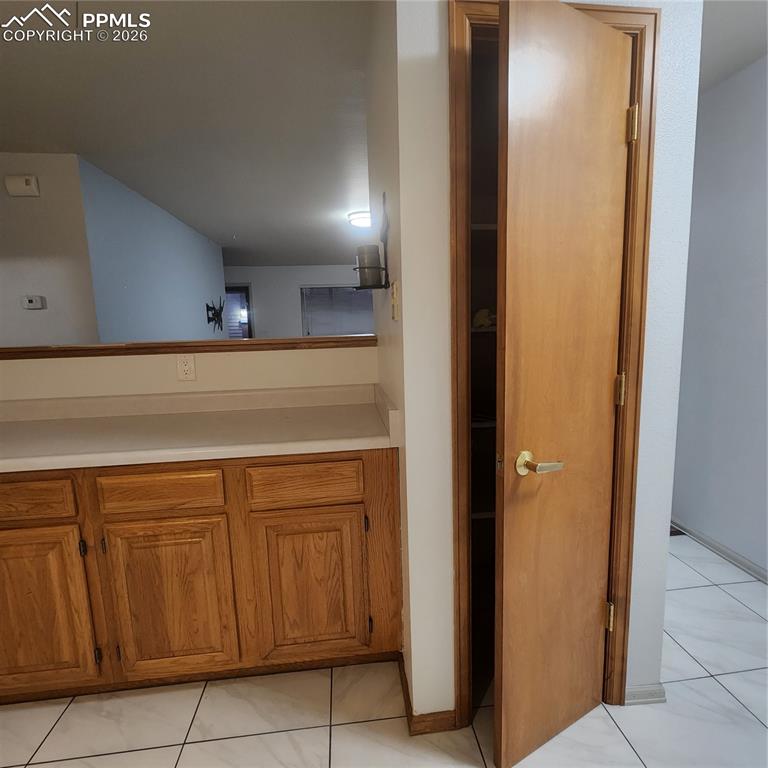 Pantry and kitchen counter 
