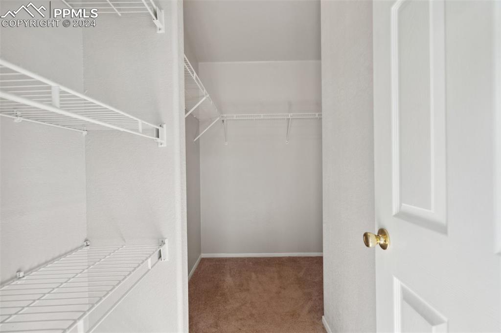Walk in closet featuring carpet floors