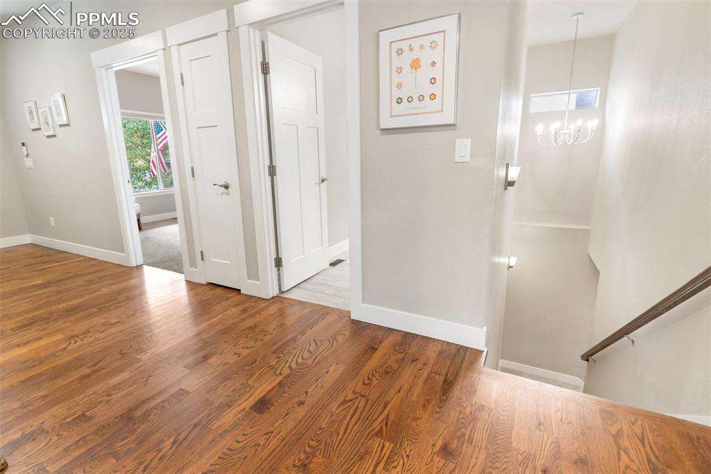 Well designed floorpan with wide staircase leading downstairs from the main foyer.