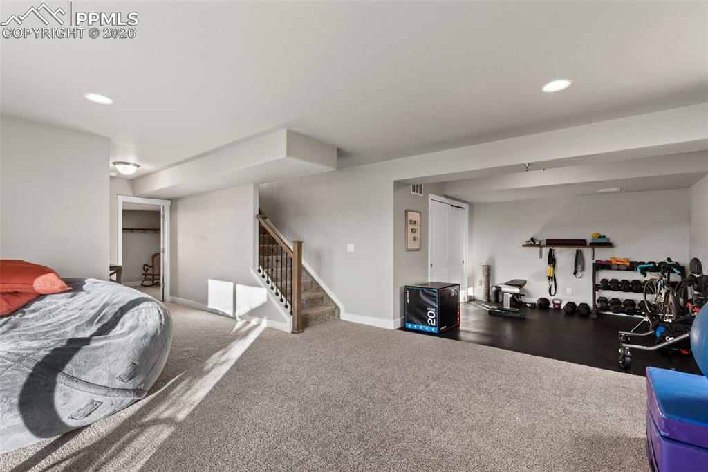 Basement Level Family Room