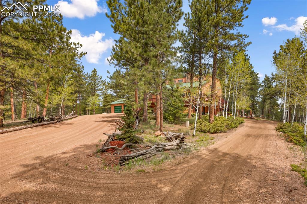 View of dirt / gravel driveway featuring view of wooded area!