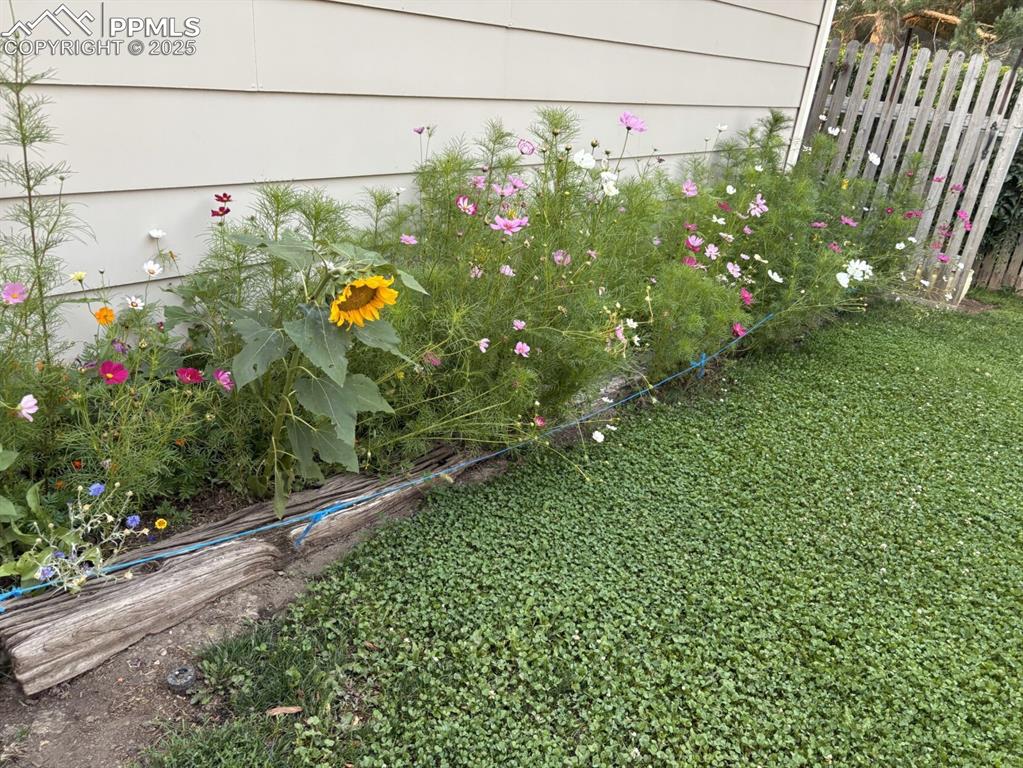 4127 Palmer Park Boulevard photo 3