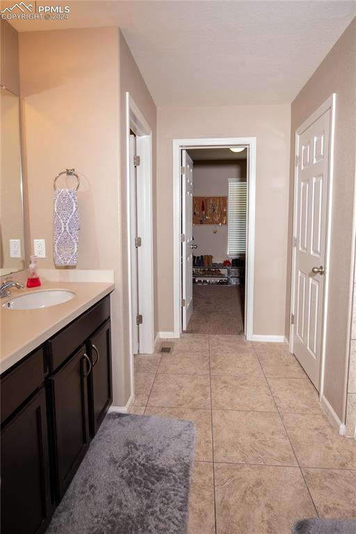 Master Bathroom Sinks