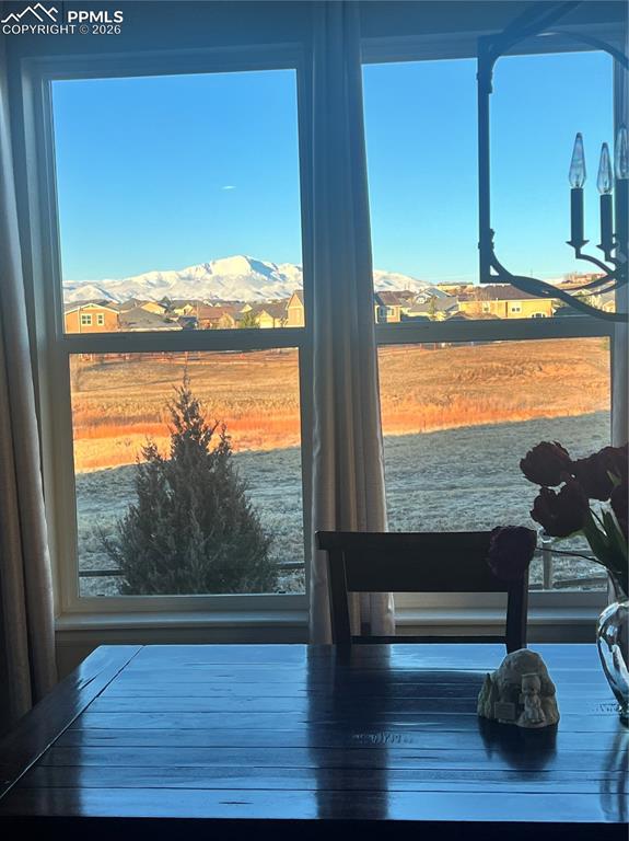 view from dining room