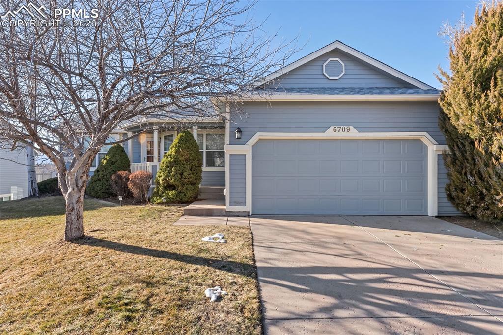 6709 Showhorse Court