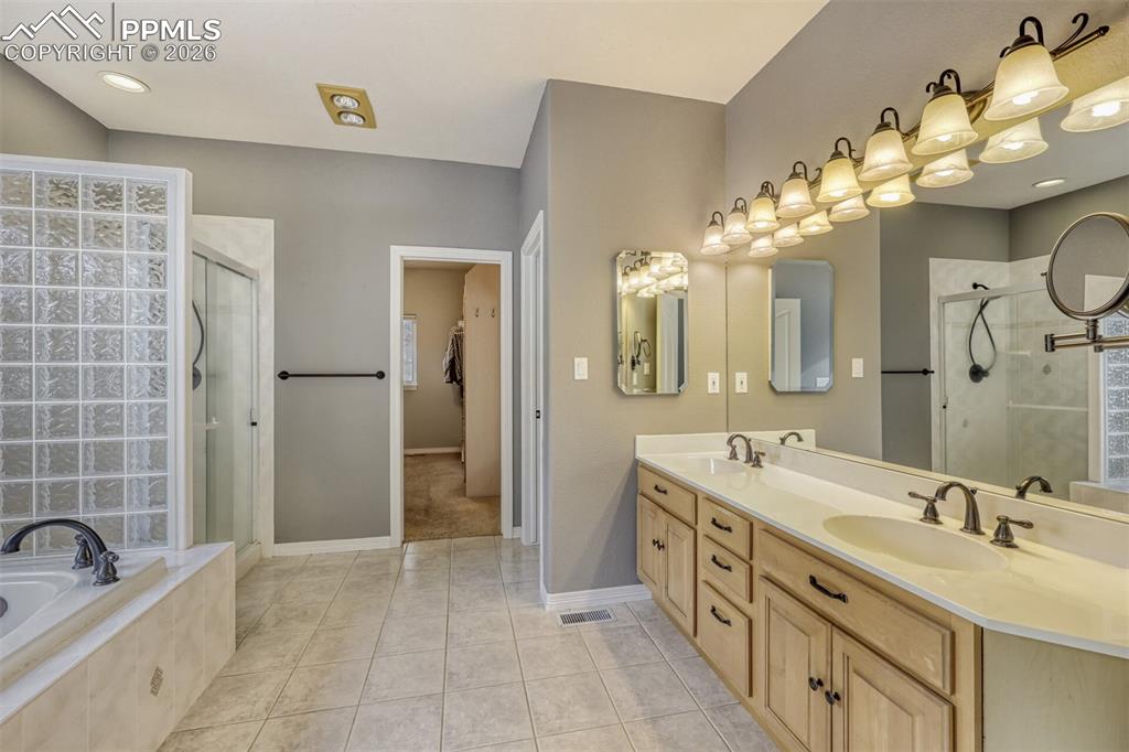 Master Bathroom with large walk-in closet