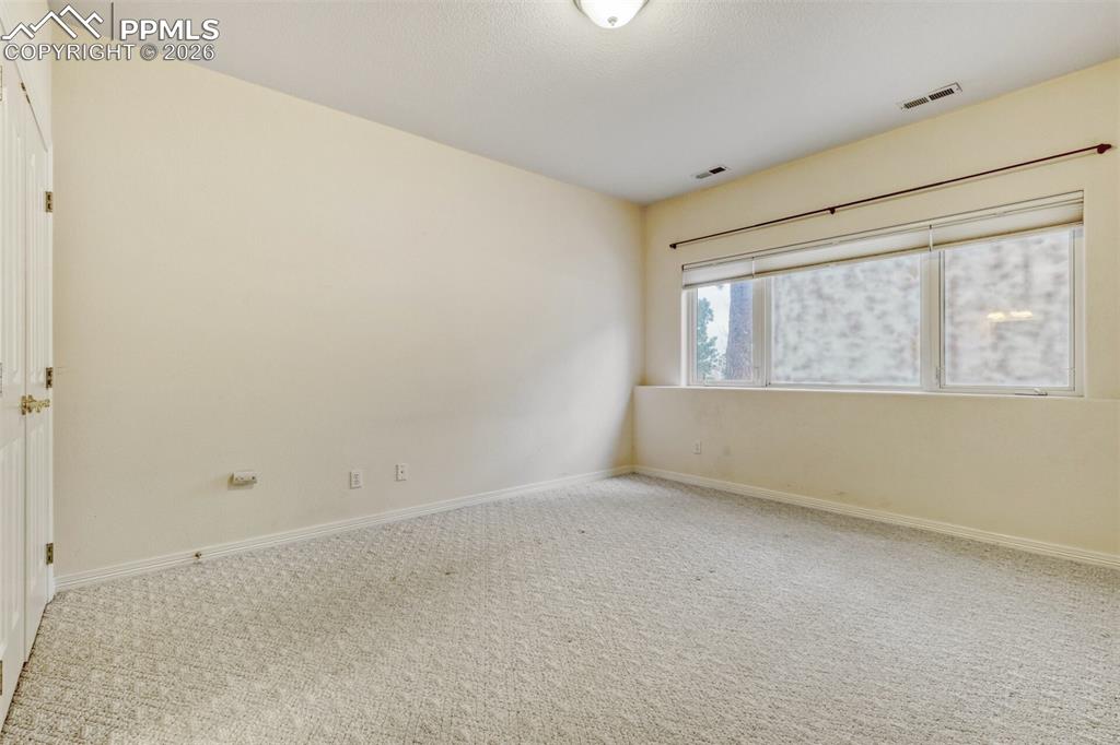 Bedroom Basement with walk-in closet