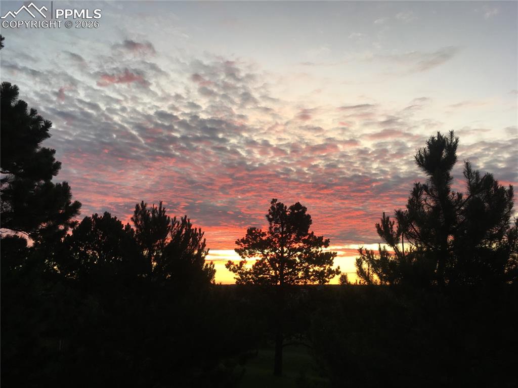 View of nature at dusk