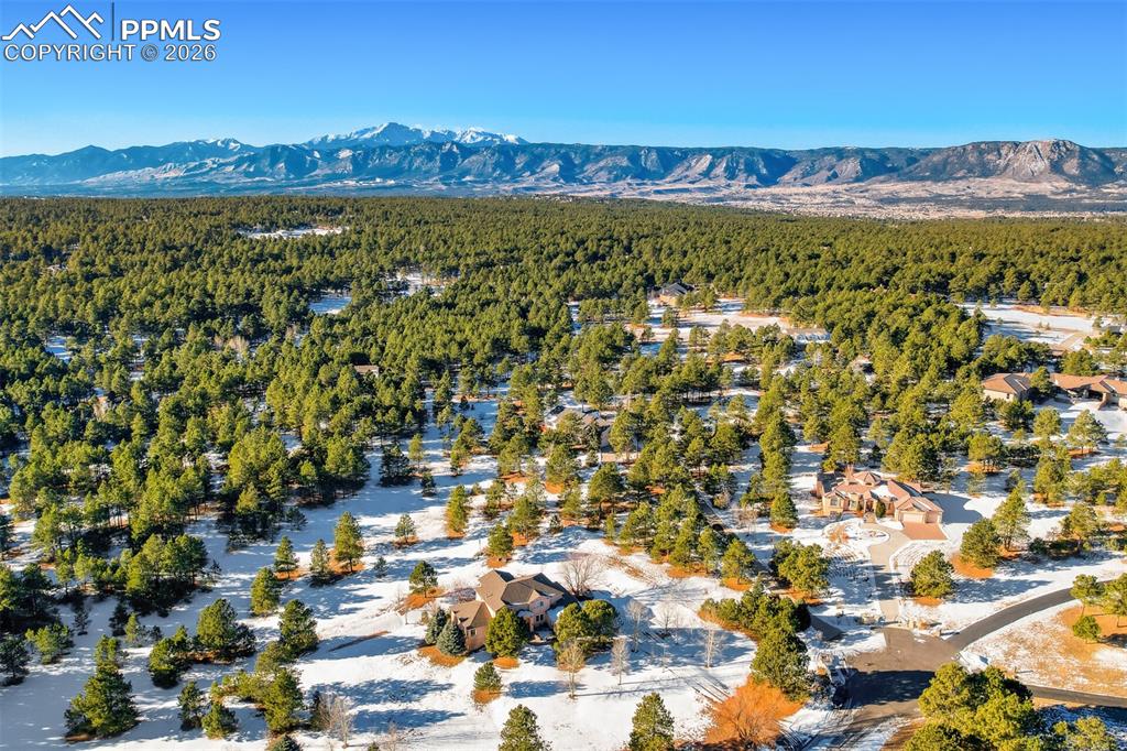 Drone / aerial view of a heavily wooded area and a mountainous background