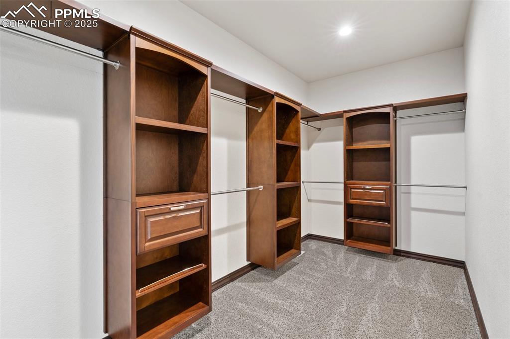 Walk-in primary closet featuring carpet