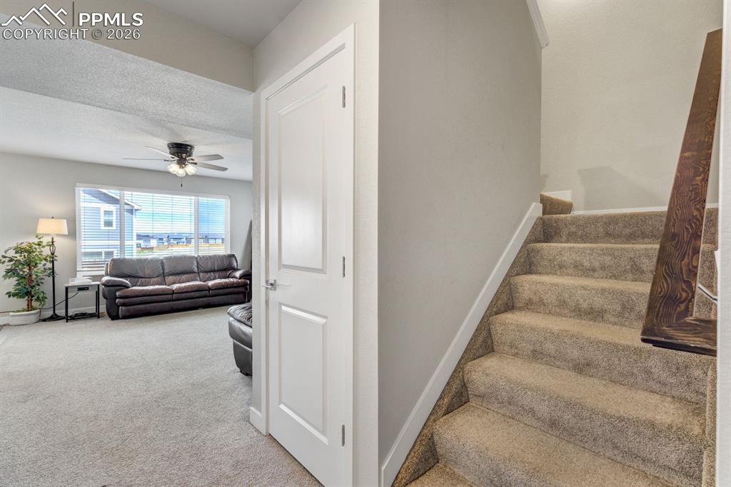 Stairway featuring carpet floors and ceiling fan