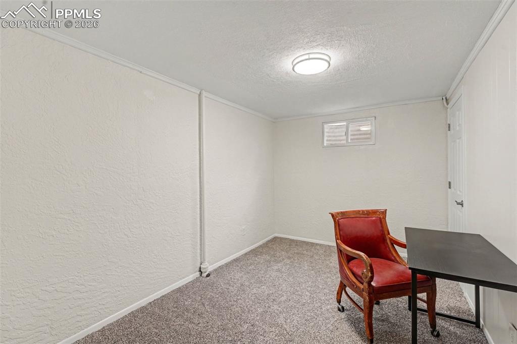 Carpeted office space with a textured wall and a textured ceiling