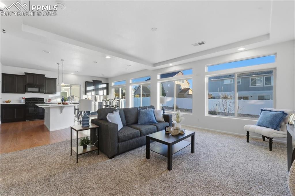 Living room featuring a raised ceiling, carpet flooring, healthy amount of natural light, and recessed lighting