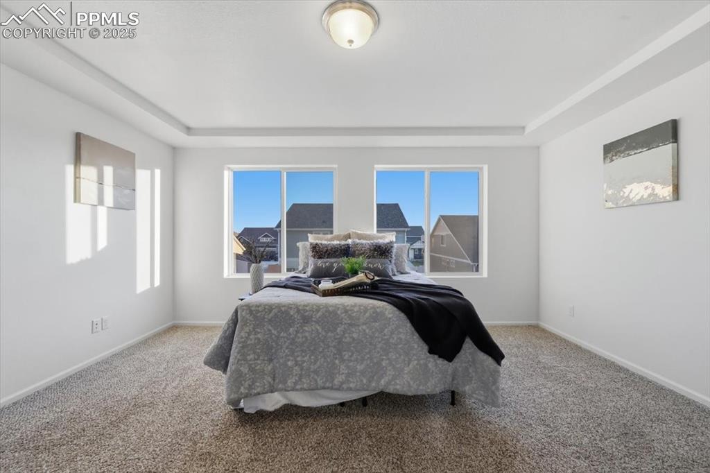 Carpeted bedroom featuring a raised ceiling