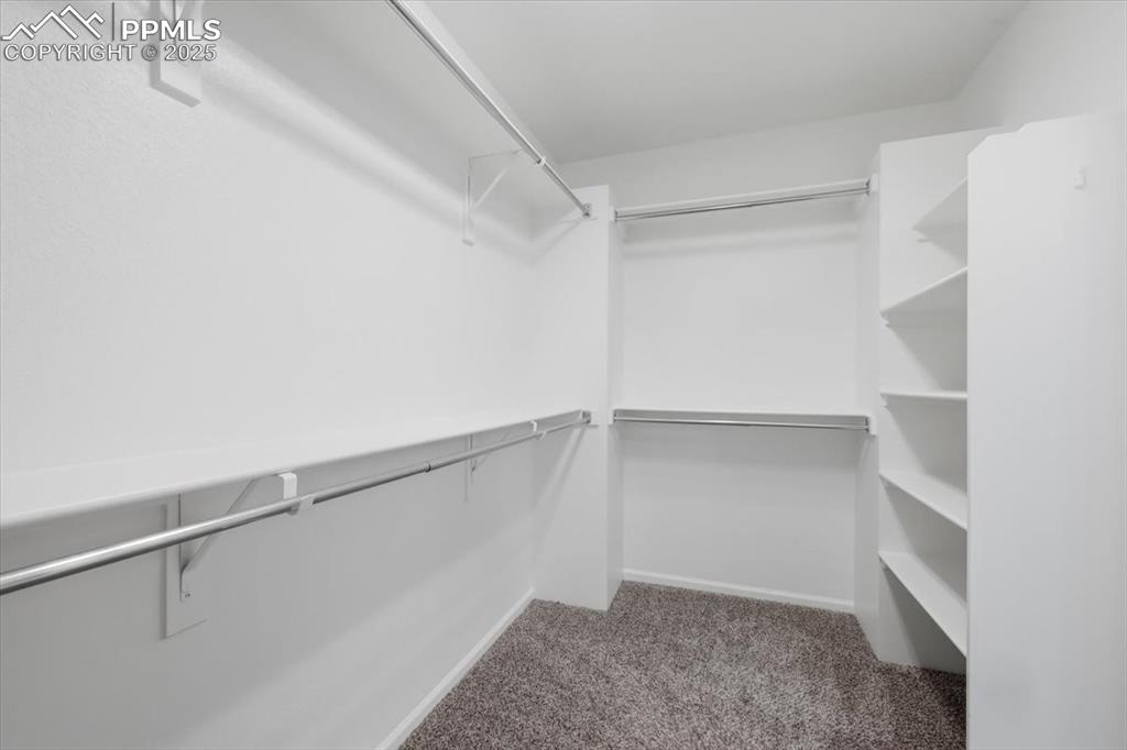Walk in closet with light carpet