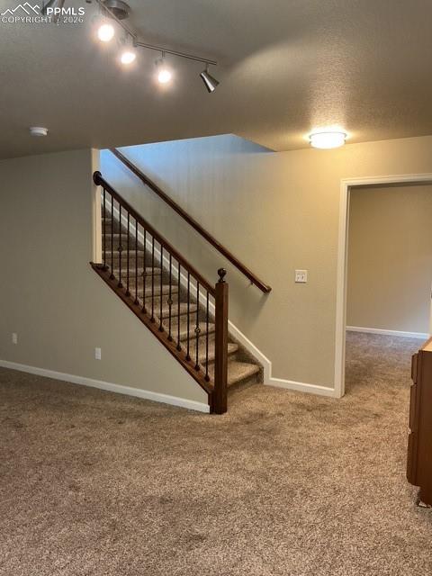 Basement family area