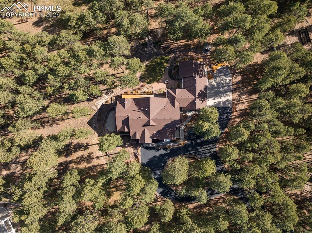 Drone / aerial view / trees and forest surround the home