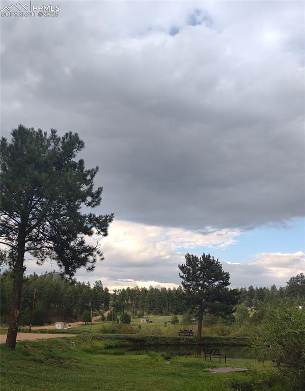 from the other direction.