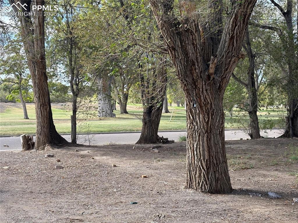 View of grassy yard with view of wooded area